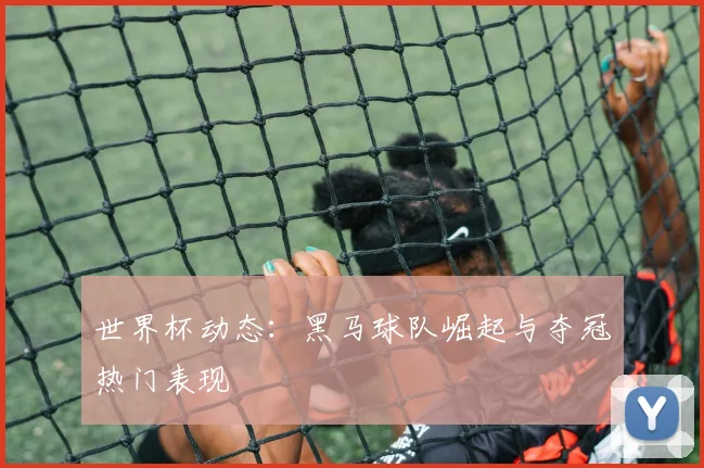 世界杯动态：黑马球队崛起与夺冠热门表现